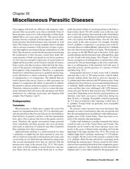 Miscellaneous Parasitic Diseases249Miscellaneous Parasitic Diseases
..