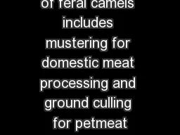 Commercial use of feral camels includes mustering for domestic meat processing and ground culling for petmeat