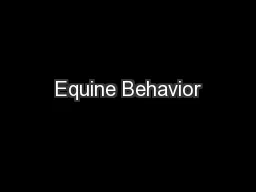 Equine Behavior