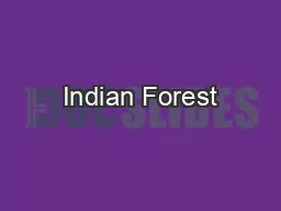 Indian Forest