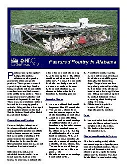 Pastured	Poultry	In	Alabama