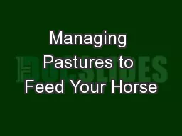 Managing Pastures to Feed Your Horse
