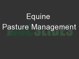 Equine Pasture Management