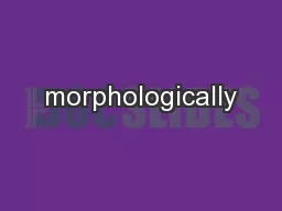 morphologically