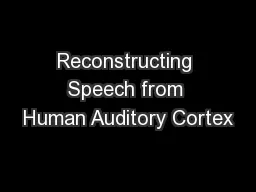 Reconstructing Speech from Human Auditory Cortex