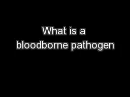 What is a bloodborne pathogen