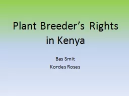 Plant Breeder’s Rights in Kenya