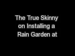 The True Skinny on Installing a Rain Garden at