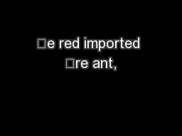 e red imported re ant,