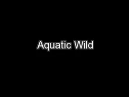 Aquatic Wild