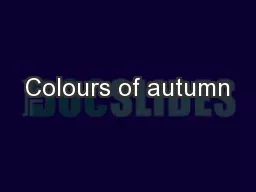 Colours of autumn