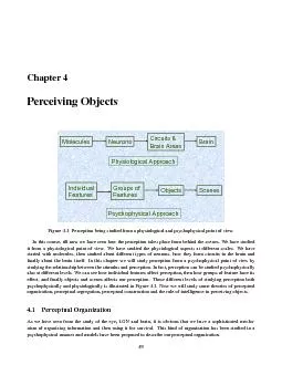 Chapter4PerceivingObjects
