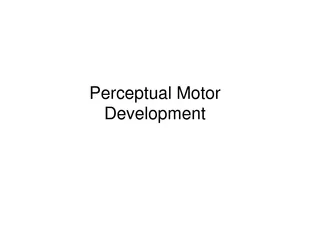 Perceptual-Motor Process