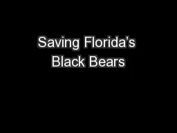 Saving Florida’s Black Bears