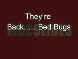 They’re Back……Bed Bugs
