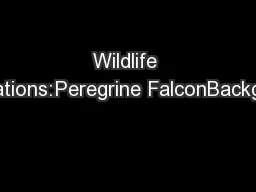 Wildlife Populations:Peregrine FalconBackground