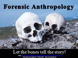 Let the bones tell the story!