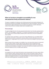 What can be done to strengthen accountability for menwho perpetrate fa