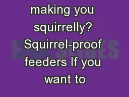 Squirrels making you squirrelly? Squirrel-proof feeders If you want to