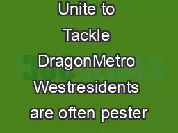 Local Teens Unite to Tackle DragonMetro Westresidents are often pester
