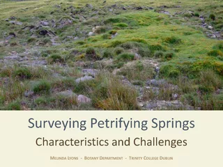 Surveying Petrifying Springs