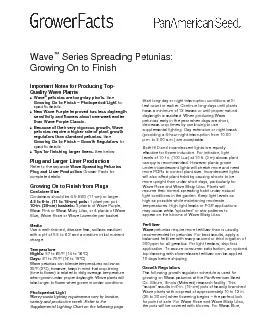 Quality Wave Plants Wave petunias are long-day plants. Growing On to F