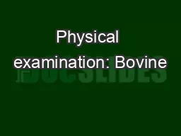 Physical examination: Bovine