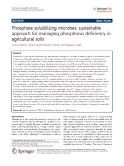 REVIEWOpenAccessPhosphatesolubilizingmicrobes:sustainableapproachforma