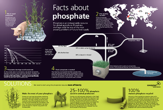 Make the most of your phosphate