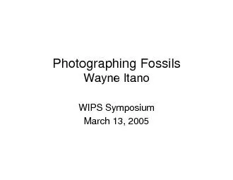 Photographing FossilsWayne ItanoWIPS SymposiumMarch 13, 2005