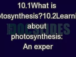 10.1What is photosynthesis?10.2Learning about photosynthesis: An exper
