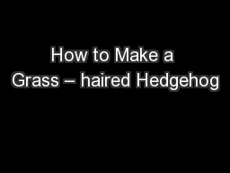 How to Make a Grass – haired Hedgehog
