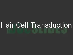 Hair Cell Transduction