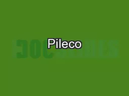 Pileco