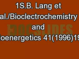 1S.B. Lang et al./Bioclectrochemistry and Bioenergetics 41(1996)191