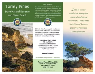wildowers, Torrey Pines preserves America’s