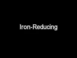 Iron-Reducing