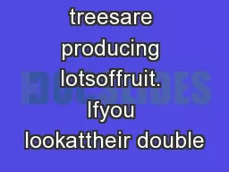 season, when treesare producing lotsoffruit. Ifyou lookattheir double