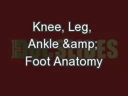 Knee, Leg, Ankle & Foot Anatomy