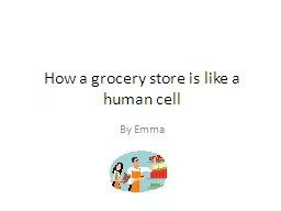 How a grocery store is like a human cell