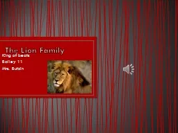 The Lion Family