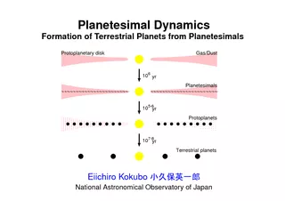 PlanetesimalDynamicsFormationofTerrestrialPlanetsfromPlanetesimals  10