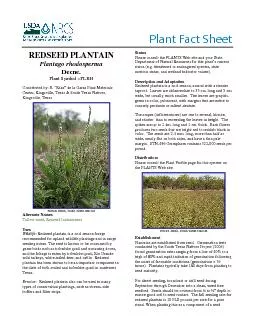 Plant Fact Sheet