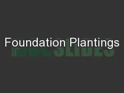 Foundation Plantings