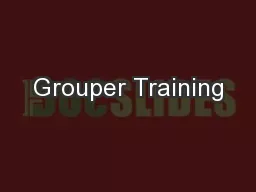Grouper Training