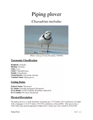 Piping PloverPage