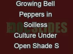 Growing Bell Peppers in Soilless Culture Under Open Shade S