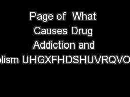 Page of  What Causes Drug Addiction and Alcoholism UHGXFHDSHUVRQVOHYHO