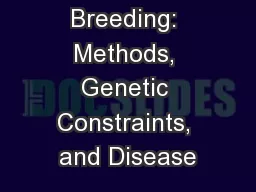 Potato Breeding: Methods, Genetic Constraints, and Disease
