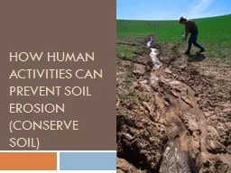 How Human Activities Can Prevent Soil Erosion (Conserve Soi